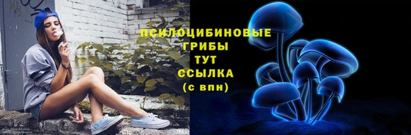 гашик Приозерск