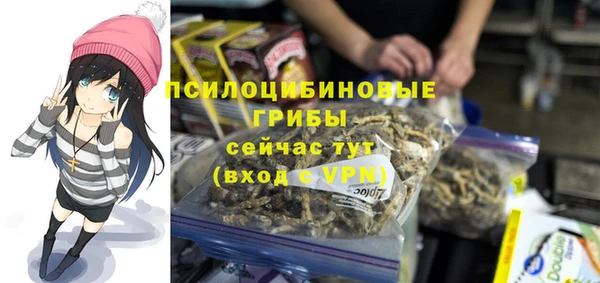 гашик Приозерск